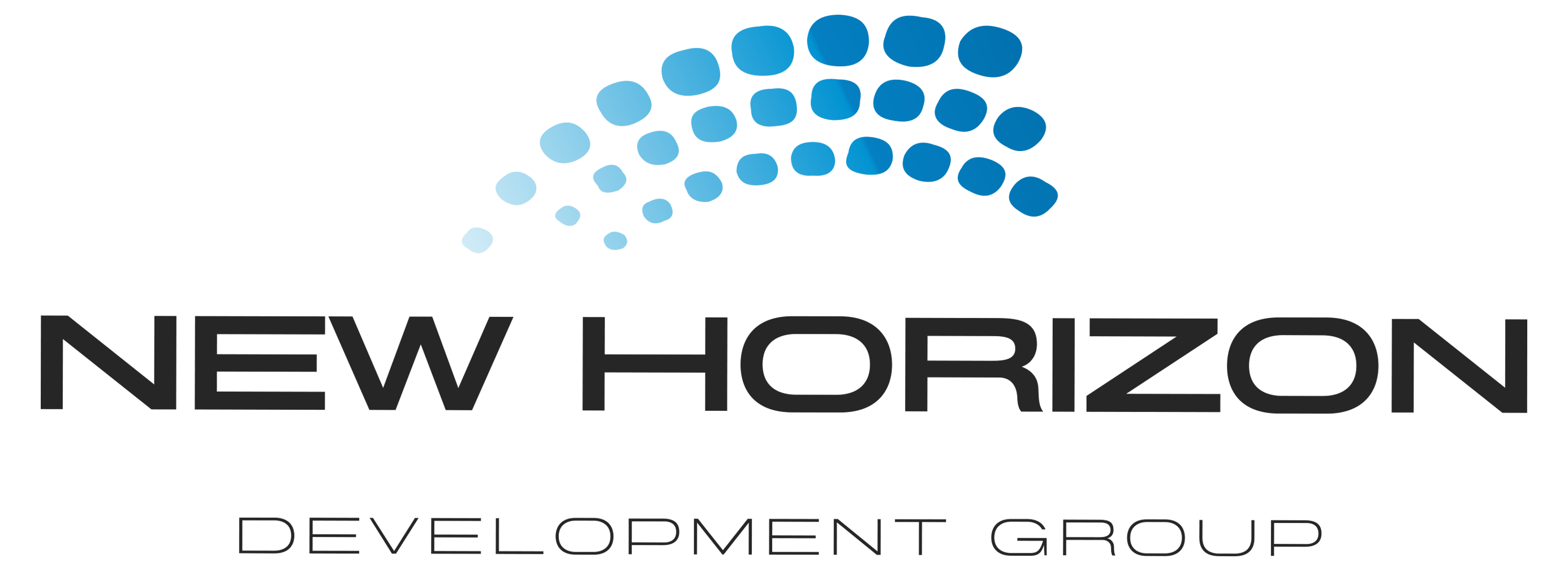New Horizon Development Group