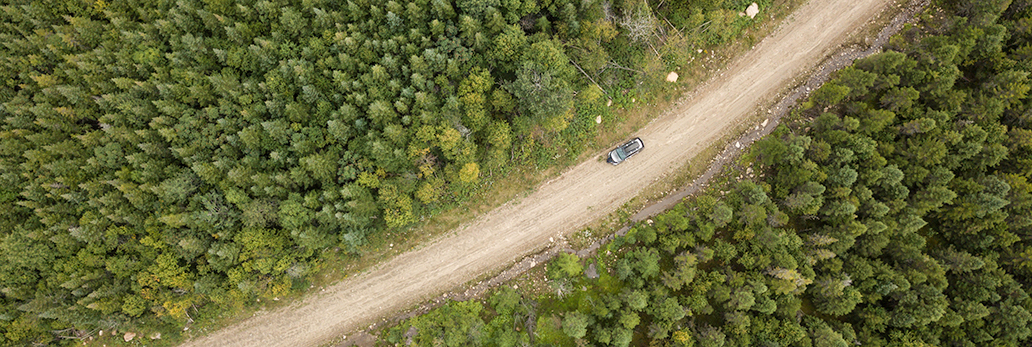 Car on rural highway with thick forests on either side