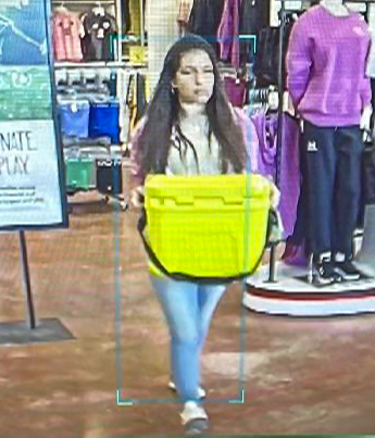 Photo of female suspect