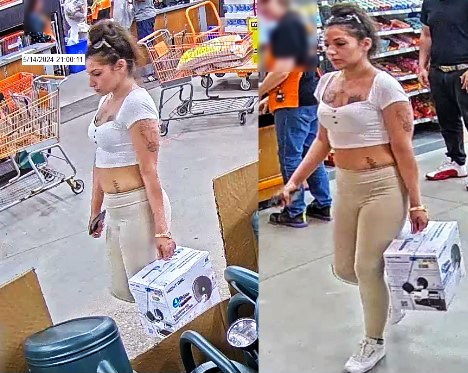 Photo of female suspect