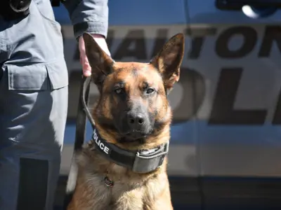 HRPS Canine and handler